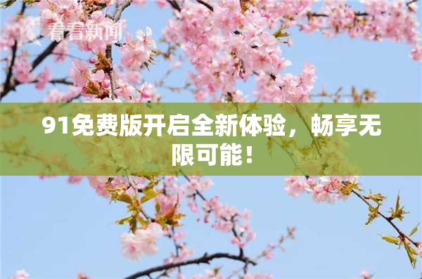91免费版开启全新体验，畅享无限可能！