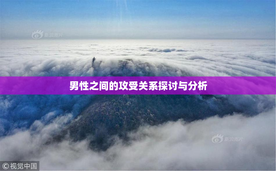 男性之间的攻受关系探讨与分析