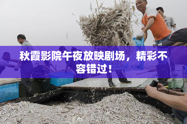 秋霞影院午夜放映剧场，精彩不容错过！