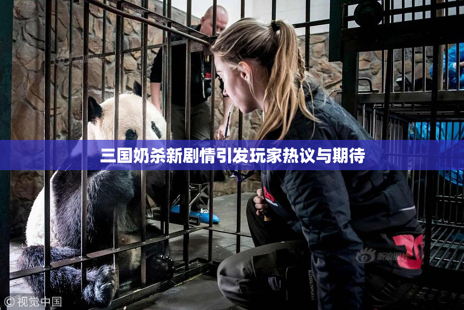 三国奶杀新剧情引发玩家热议与期待