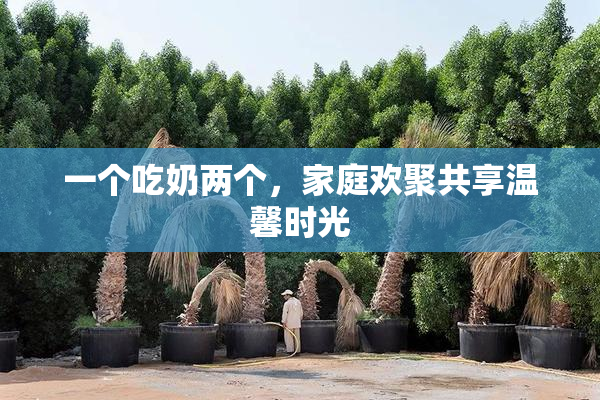 一个吃奶两个，家庭欢聚共享温馨时光