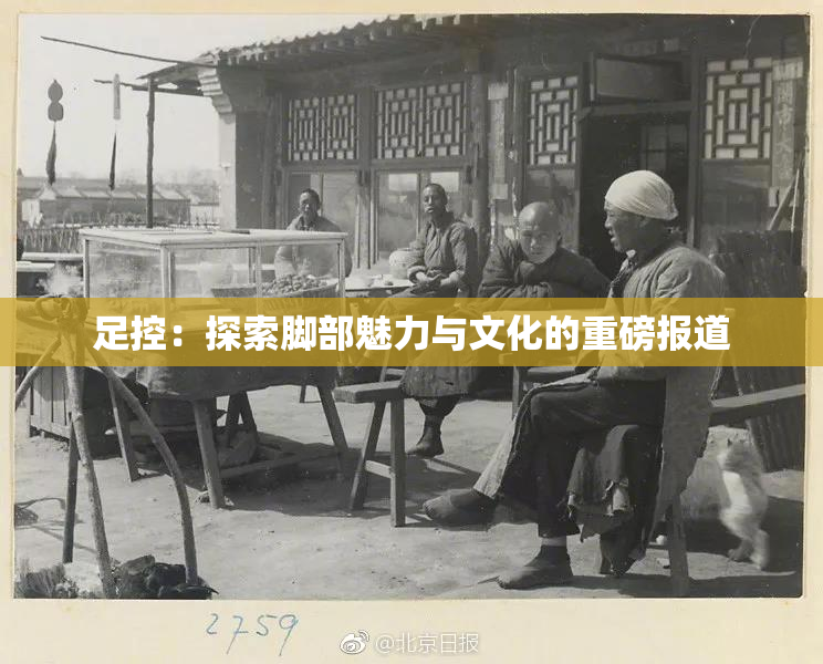 足控：探索脚部魅力与文化的重磅报道