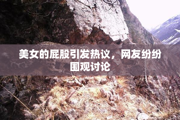 美女的屁股引发热议，网友纷纷围观讨论
