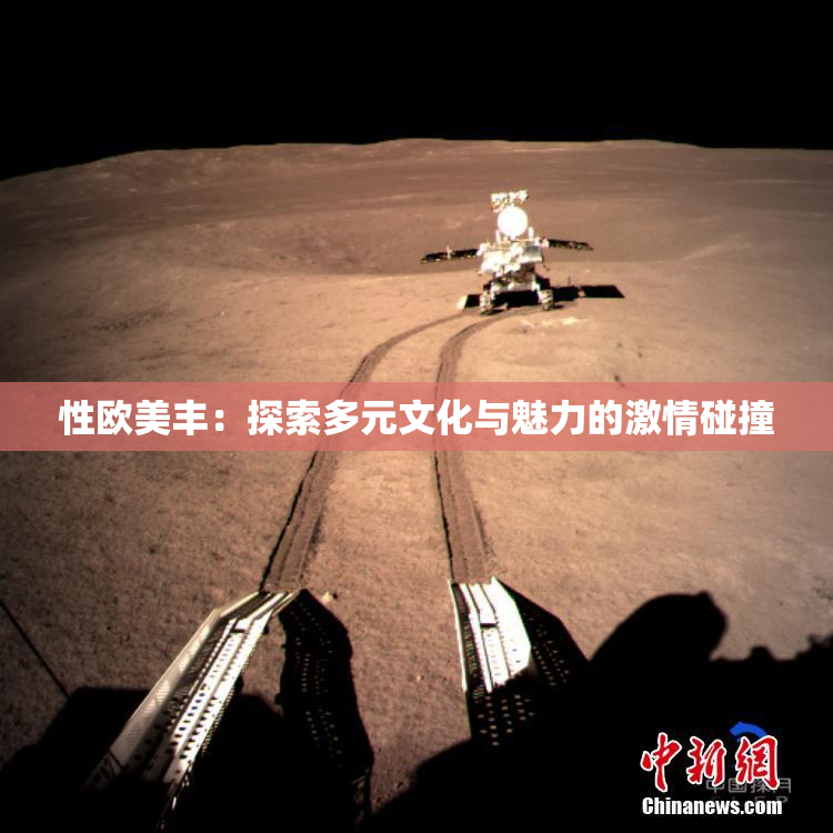性欧美丰：探索多元文化与魅力的激情碰撞