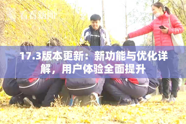 17.3版本更新：新功能与优化详解，用户体验全面提升