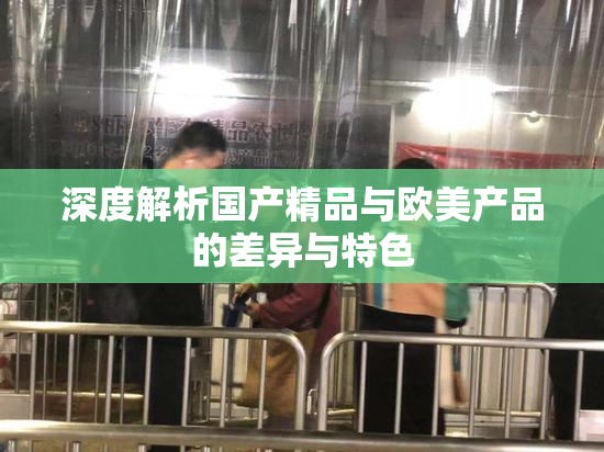 深度解析国产精品与欧美产品的差异与特色