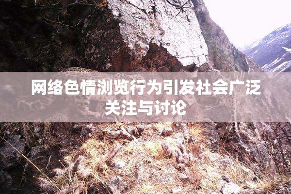 网络色情浏览行为引发社会广泛关注与讨论