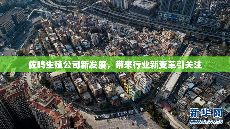 佐鸣生殖公司新发展，带来行业新变革引关注