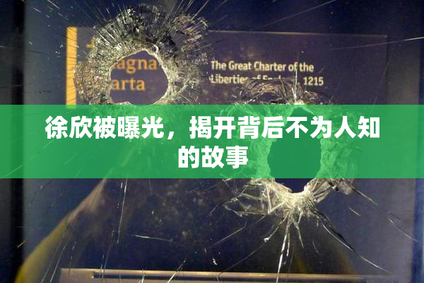 徐欣被曝光，揭开背后不为人知的故事
