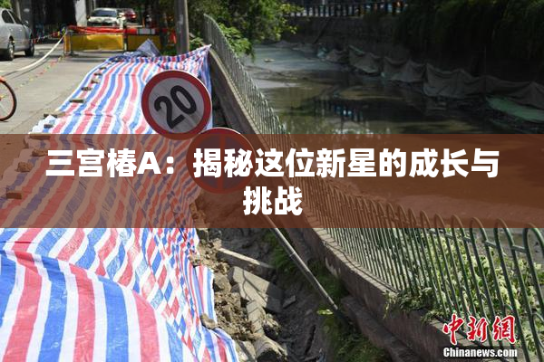 三宫椿A：揭秘这位新星的成长与挑战