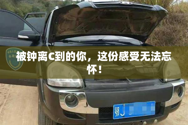 被钟离C到的你，这份感受无法忘怀！