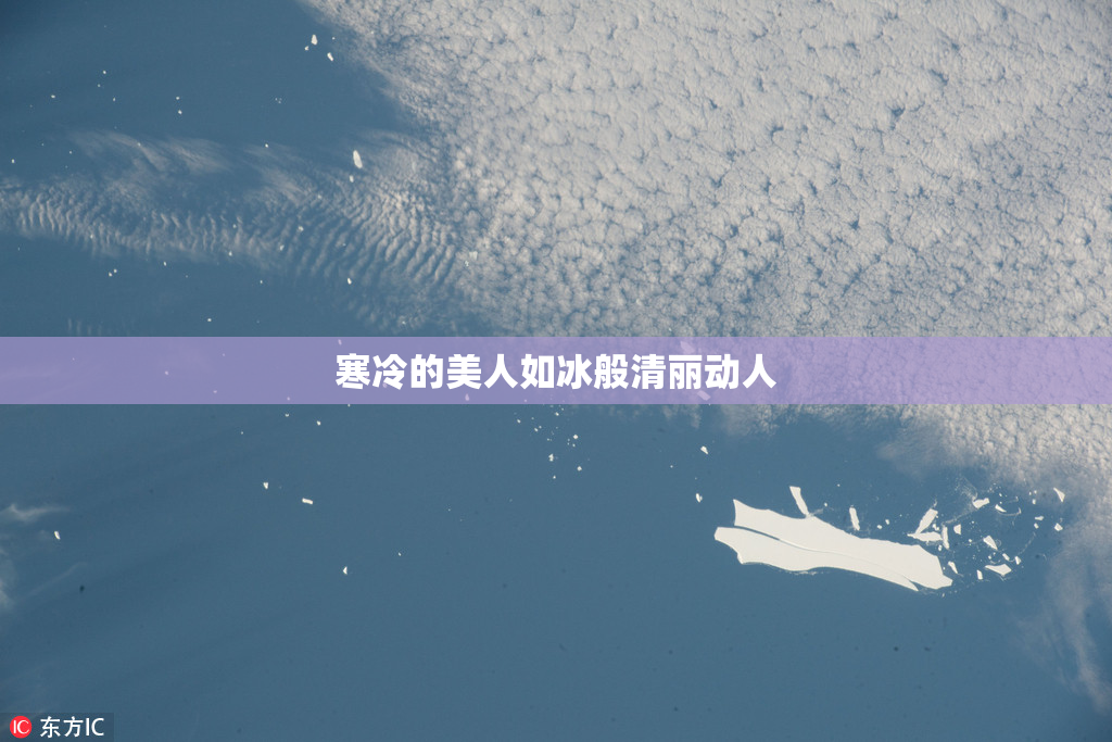 寒冷的美人如冰般清丽动人