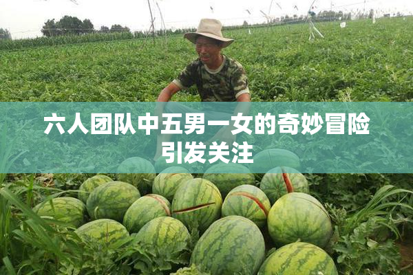 六人团队中五男一女的奇妙冒险引发关注