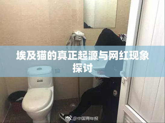 埃及猫的真正起源与网红现象探讨