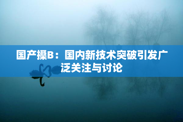 国产搡B：国内新技术突破引发广泛关注与讨论