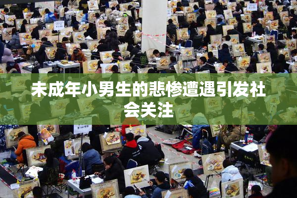 未成年小男生的悲惨遭遇引发社会关注