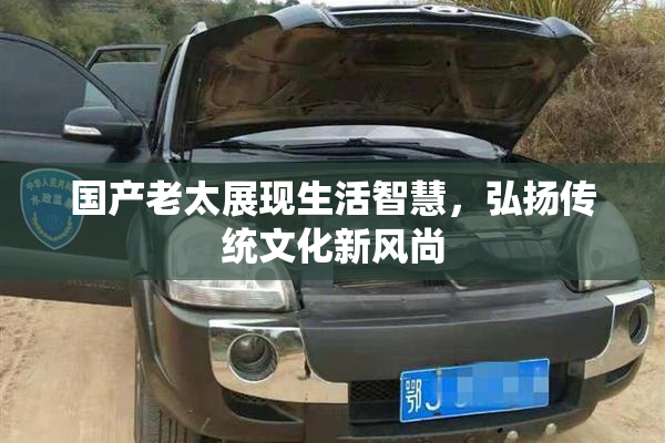 国产老太展现生活智慧，弘扬传统文化新风尚
