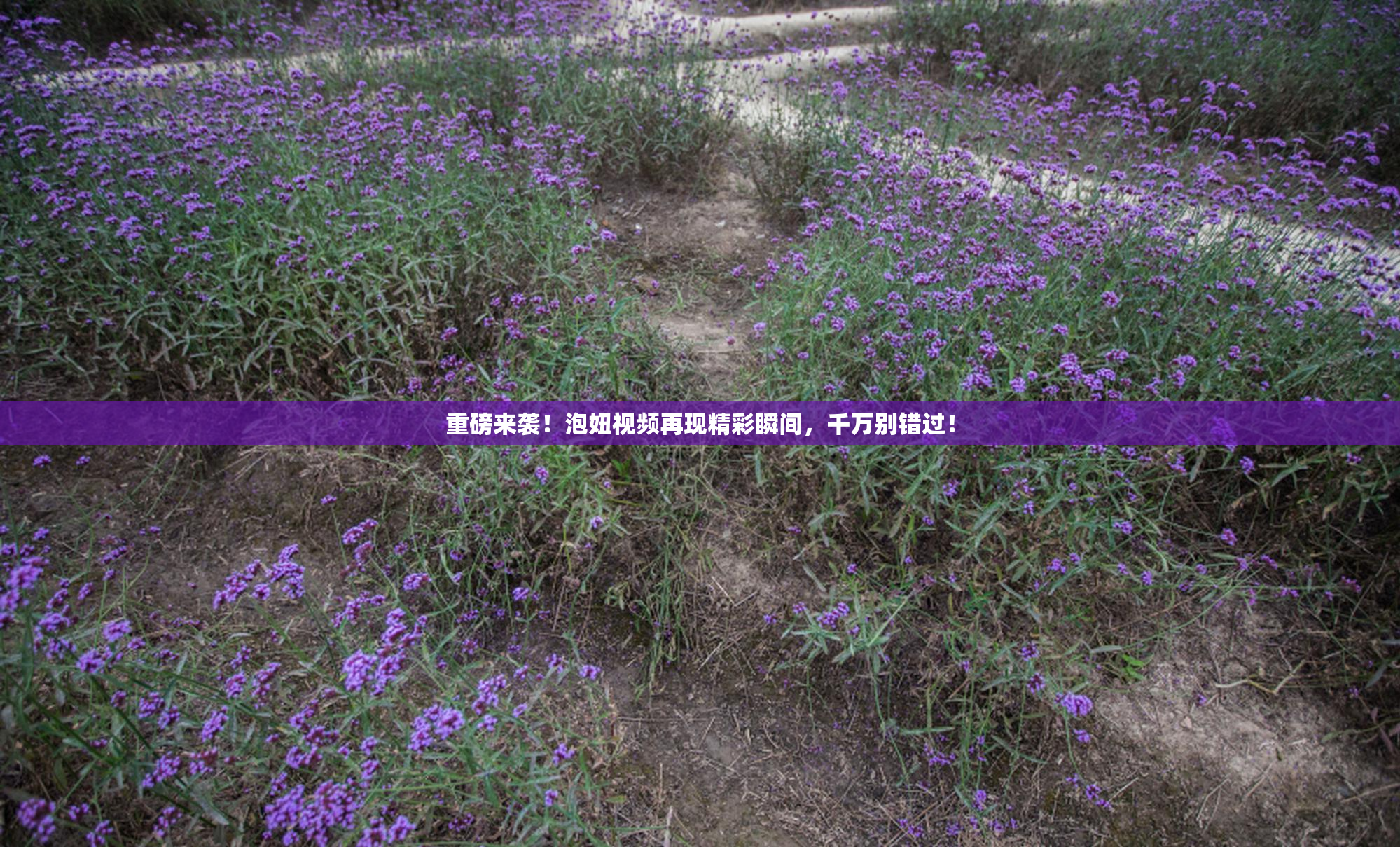 重磅来袭！泡妞视频再现精彩瞬间，千万别错过！