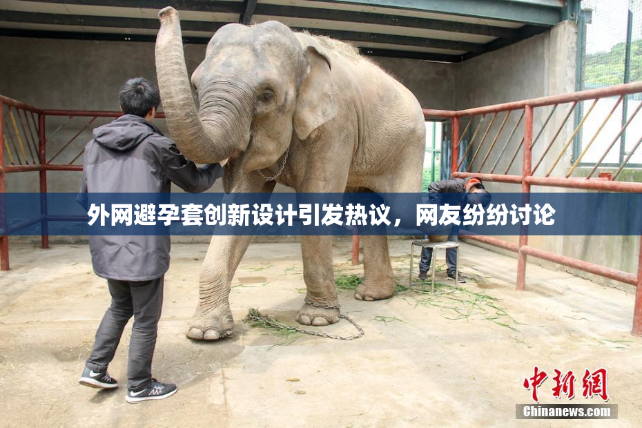 外网避孕套创新设计引发热议，网友纷纷讨论