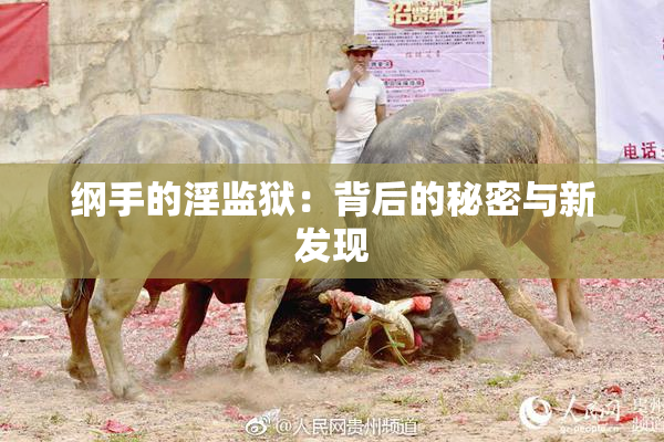 纲手的淫监狱：背后的秘密与新发现