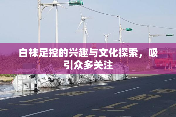 白袜足控的兴趣与文化探索，吸引众多关注