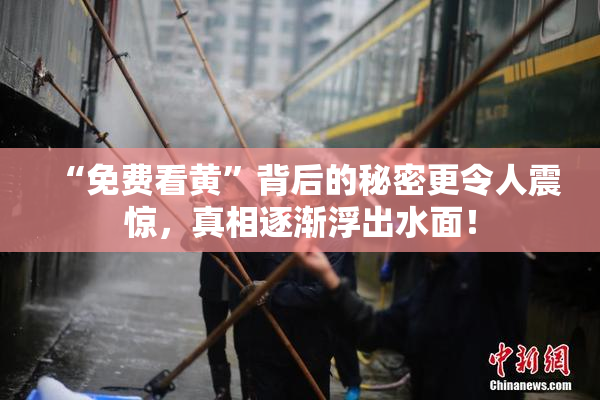 “免费看黄”背后的秘密更令人震惊，真相逐渐浮出水面！