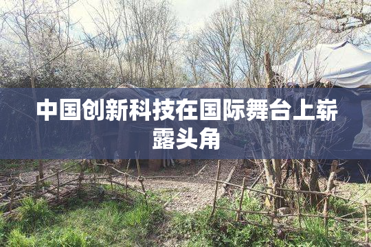 中国创新科技在国际舞台上崭露头角