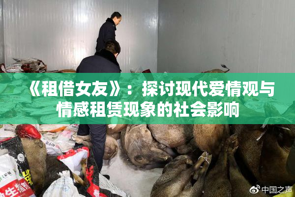 《租借女友》：探讨现代爱情观与情感租赁现象的社会影响