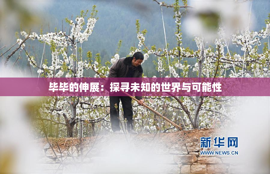 毕毕的伸展：探寻未知的世界与可能性