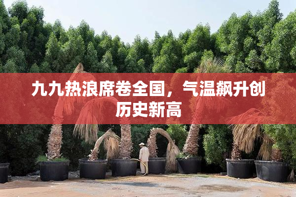 九九热浪席卷全国，气温飙升创历史新高