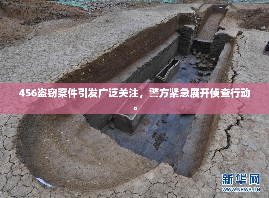 456盗窃案件引发广泛关注，警方紧急展开侦查行动。