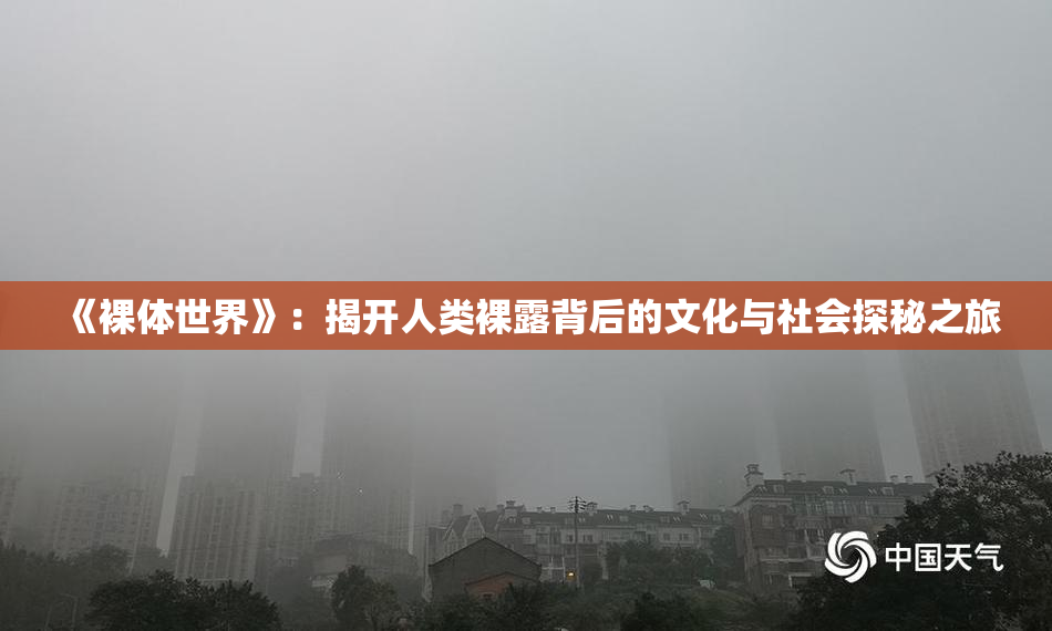 《裸体世界》：揭开人类裸露背后的文化与社会探秘之旅