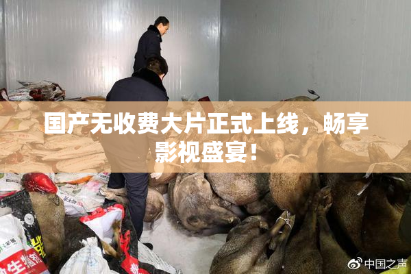 国产无收费大片正式上线，畅享影视盛宴！