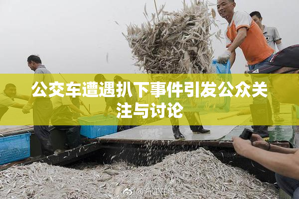 公交车遭遇扒下事件引发公众关注与讨论
