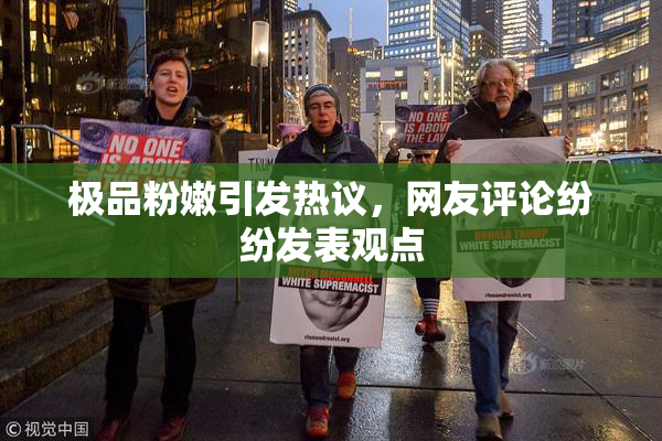 极品粉嫩引发热议，网友评论纷纷发表观点