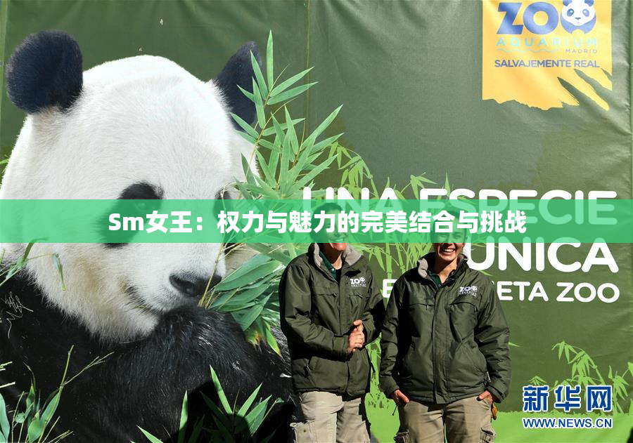 Sm女王：权力与魅力的完美结合与挑战