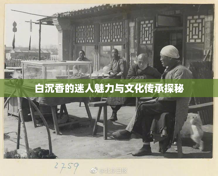 白沉香的迷人魅力与文化传承探秘