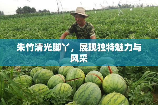 朱竹清光脚丫，展现独特魅力与风采