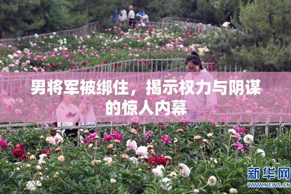 男将军被绑住，揭示权力与阴谋的惊人内幕