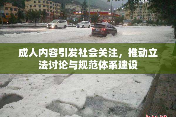 成人内容引发社会关注，推动立法讨论与规范体系建设