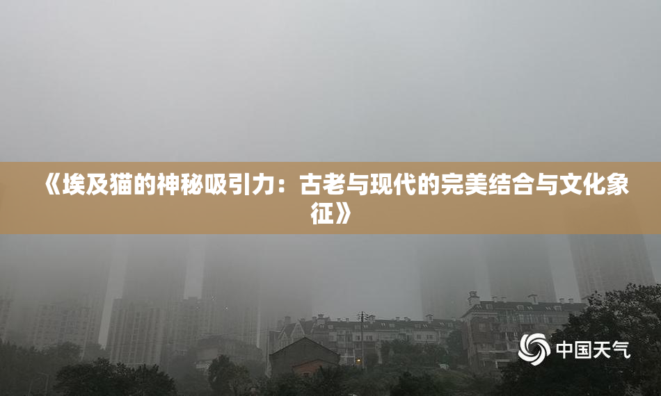 《埃及猫的神秘吸引力：古老与现代的完美结合与文化象征》