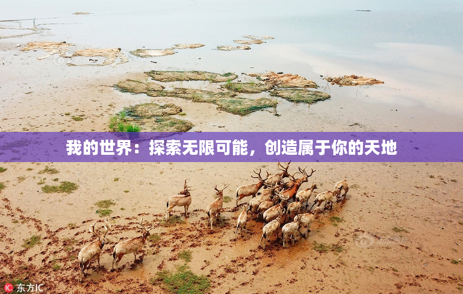 我的世界：探索无限可能，创造属于你的天地