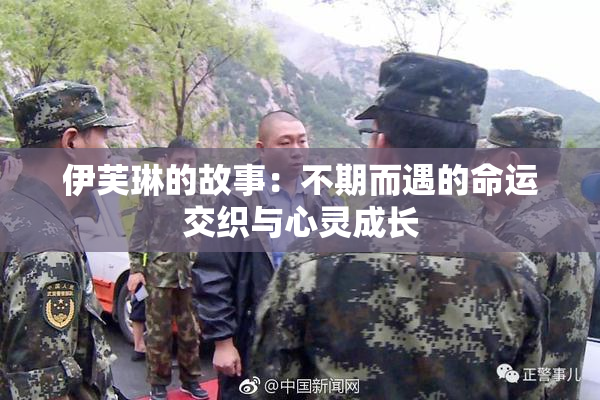 伊芙琳的故事：不期而遇的命运交织与心灵成长