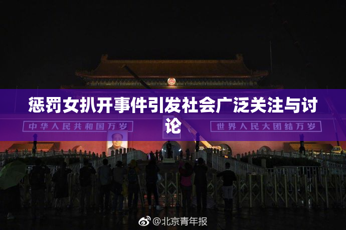 惩罚女扒开事件引发社会广泛关注与讨论