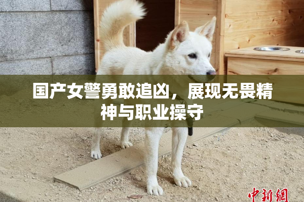 国产女警勇敢追凶，展现无畏精神与职业操守