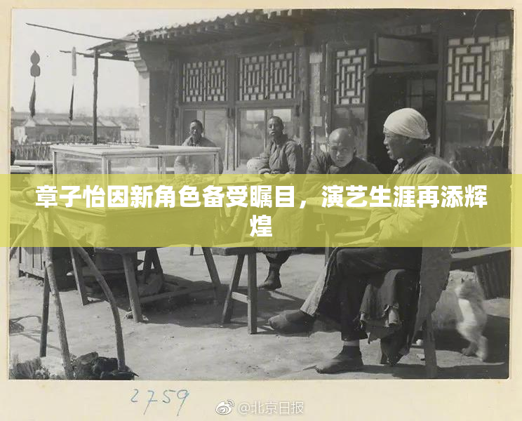 章子怡因新角色备受瞩目，演艺生涯再添辉煌