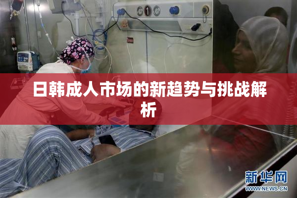 日韩成人市场的新趋势与挑战解析