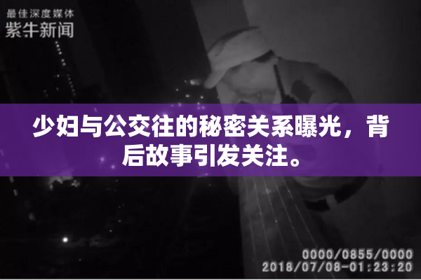 少妇与公交往的秘密关系曝光，背后故事引发关注。