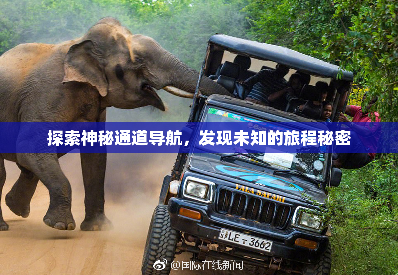 探索神秘通道导航，发现未知的旅程秘密