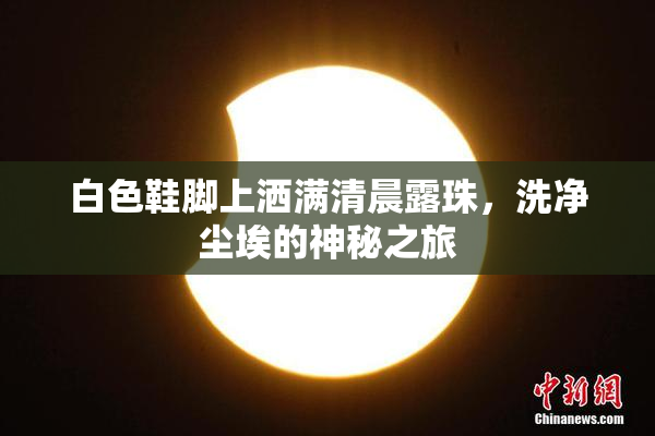 白色鞋脚上洒满清晨露珠，洗净尘埃的神秘之旅